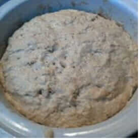 Homemade Panera Bread Dough